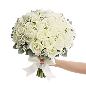 Ivory Blossom Radiance