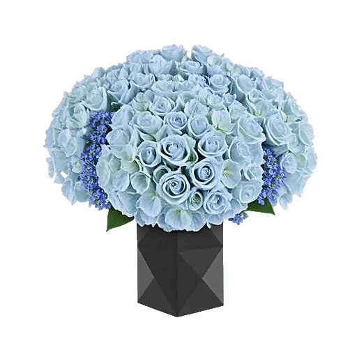 Elegant Blue Roses