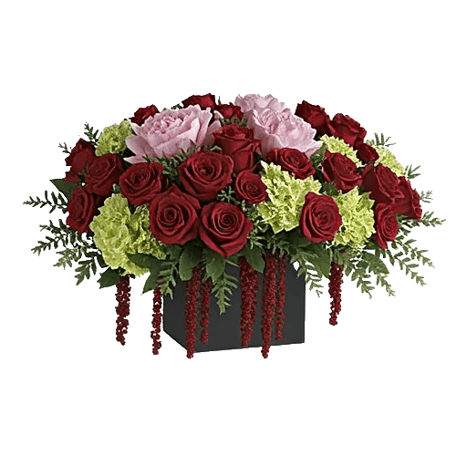 Petal Radiance Bliss