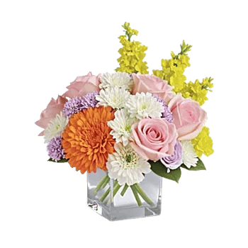 Petal Harmony Bliss