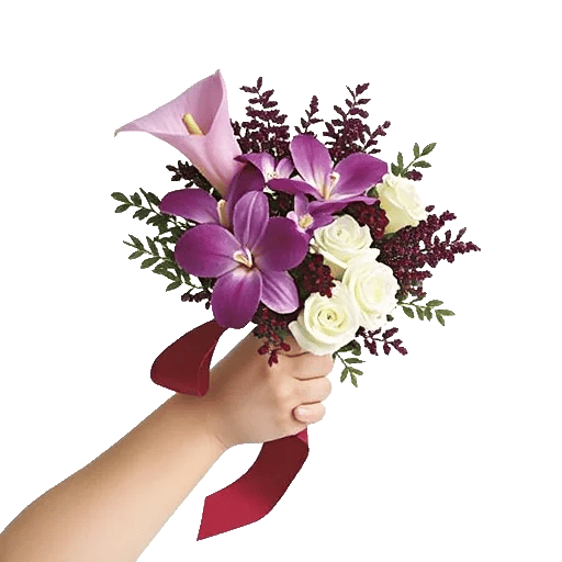 Elegant Calla Lilies