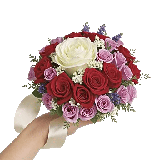 Rosemary Bloom Elegance