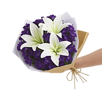 Blossom Harmony Display