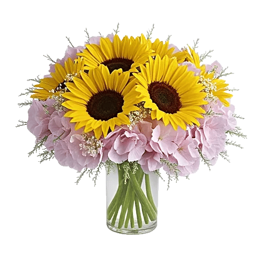 Radiant Bloom Cascade