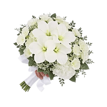 Ivory Garden Grace
