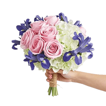 Serene Petal Harmony