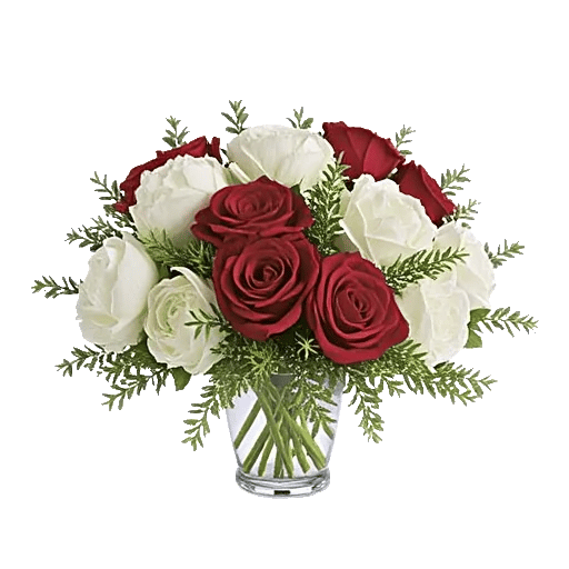 Petal Radiance Bliss