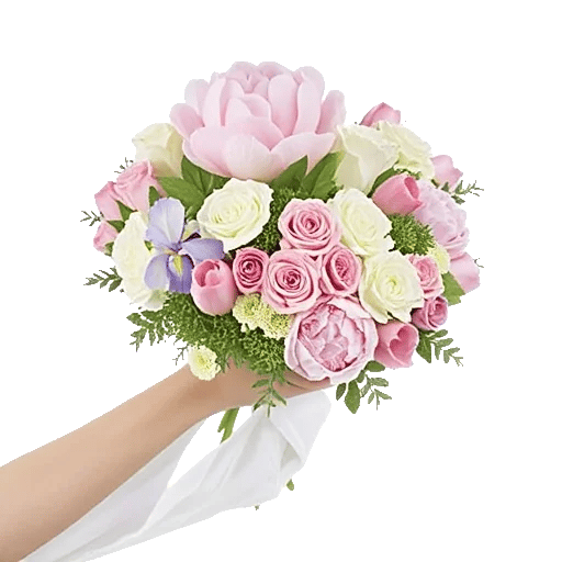 Peony Petal Harmony