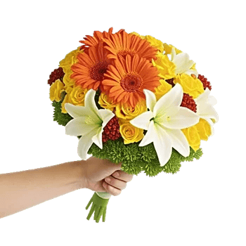 Petal Harmony Bliss