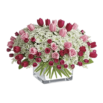 Delicate Petal Cascade