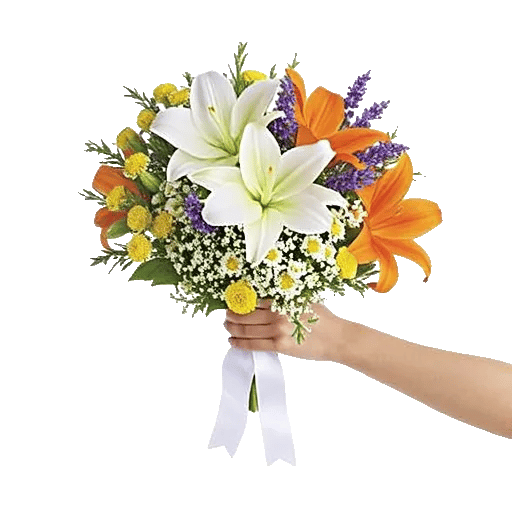 Delicate Petal Cascade