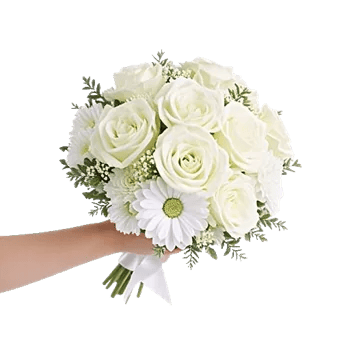Ivory Garden Grace