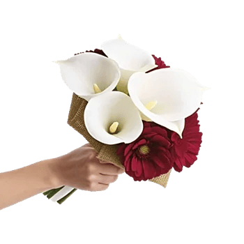 Elegant Calla Lilies