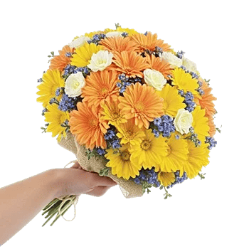 Blossom Harmony Display