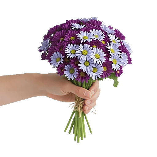 Blossom Petal Serenity