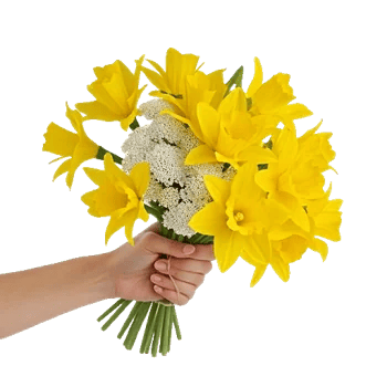 Crisp Spring Blooms