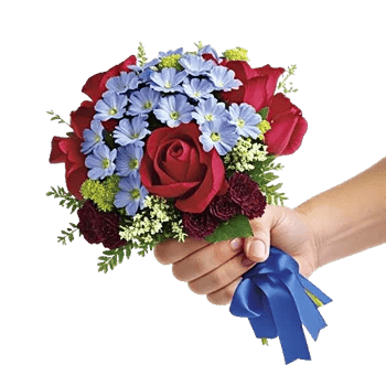 Blossom Petal Serenity