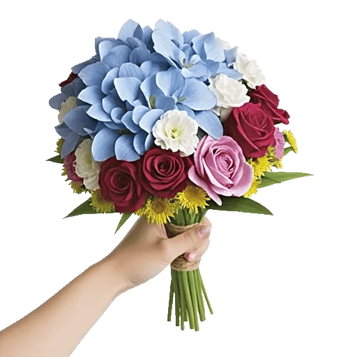 Serene Petal Harmony
