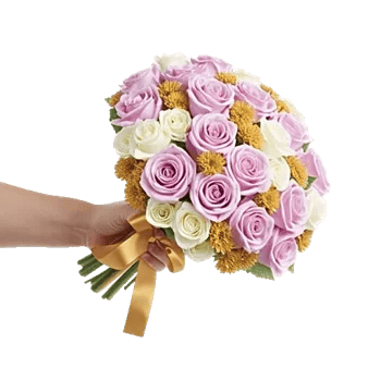 Blushing Rose Symphony