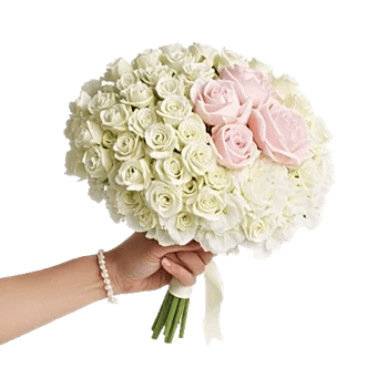 Delicate Petal Cascade