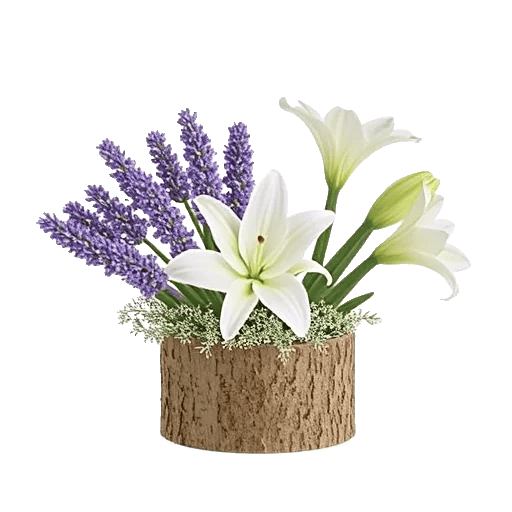 Lavender Bloom Grace