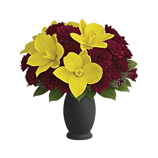 Modern White Orchids