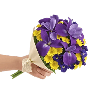 Ivory Blossom Radiance