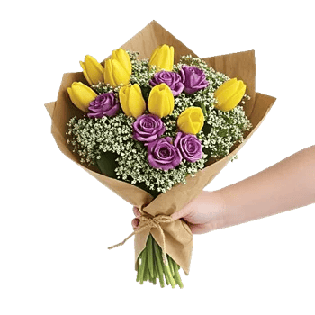 Tulip Rose Mix