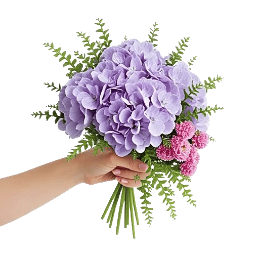 Serene Petal Harmony