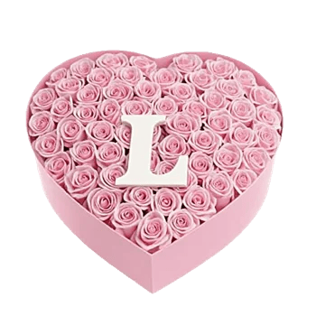 Blushing Rose Symphony