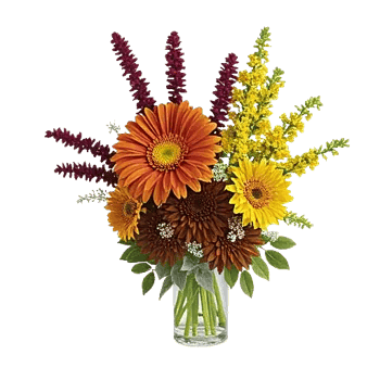 Ivory Blossom Radiance