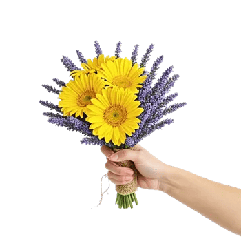 Petal Harmony Bliss