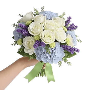 Serene Petal Harmony