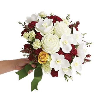 Petal Grace Harmony