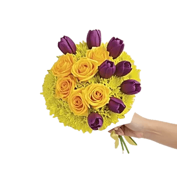 Blossom Harmony Display