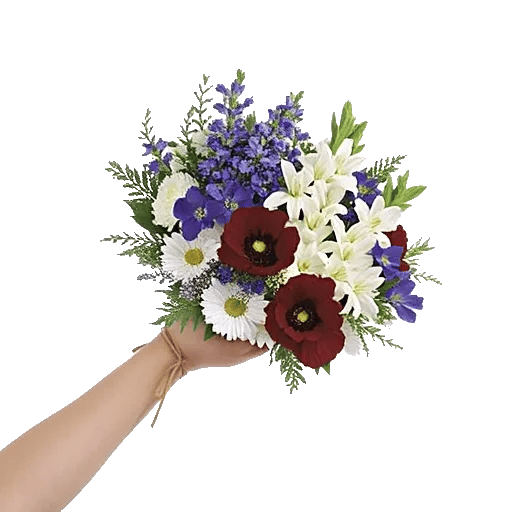 Modern White Orchids