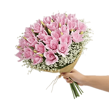 Blossom Breeze Harmony