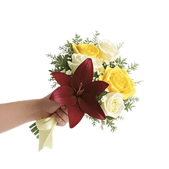 Blossom Harmony Display