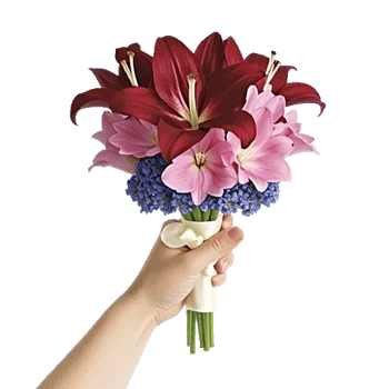 Graceful Lily Display