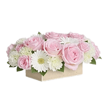 Delicate Petal Cascade