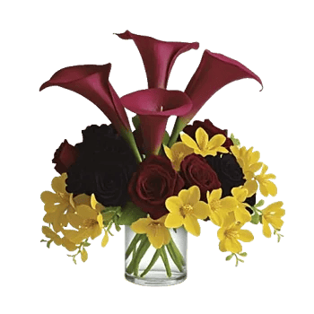 Elegant Calla Lilies