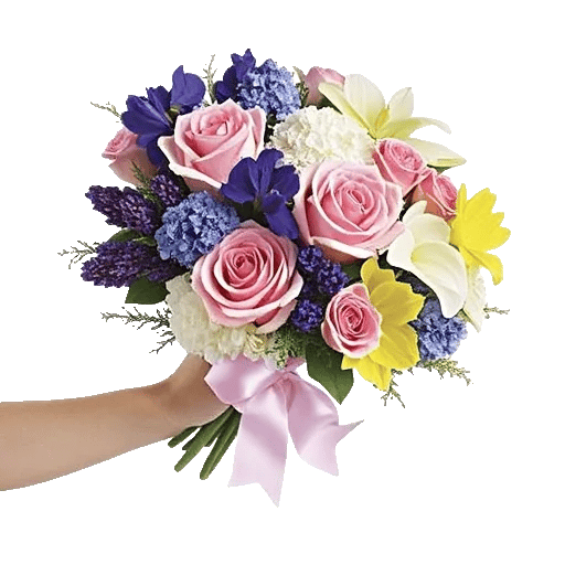 Blushing Rose Symphony