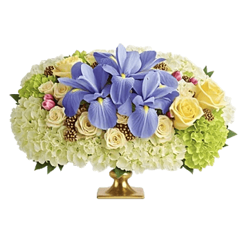 Ivory Blossom Radiance