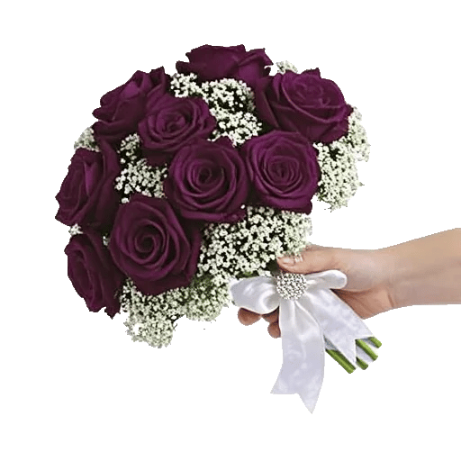 Blushing Rose Symphony