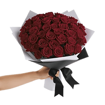 Crimson Rose Elegance