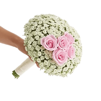 Blossom Radiant Whisper