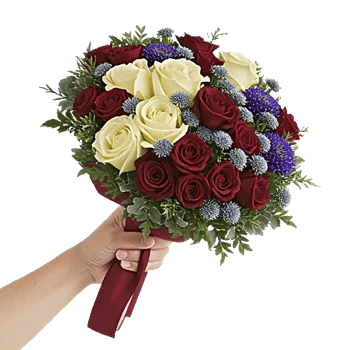 Crimson Rose Elegance