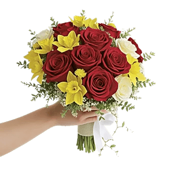 Crimson Rose Elegance