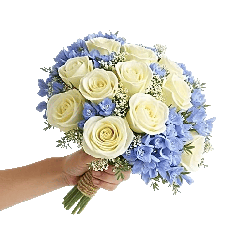 Blossom Petal Serenity