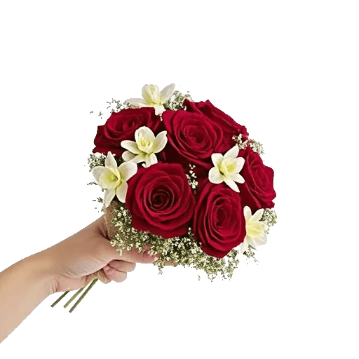 Crimson Rose Elegance